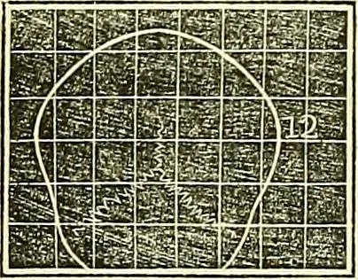 An illustration from A system of phrenology, 1839, leaf 261