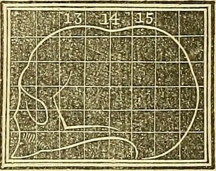 An illustration from A system of phrenology, 1839, leaf 283