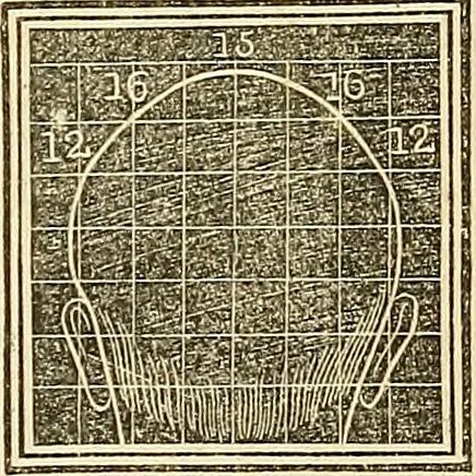 An illustration from A system of phrenology, 1839, leaf 306