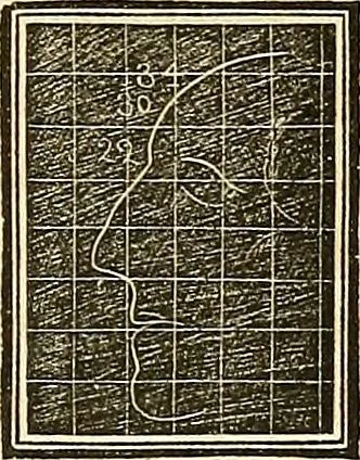 An illustration from A system of phrenology, 1839, leaf 426