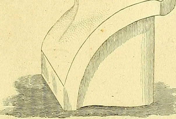An illustration from A system of phrenology, 1839, leaf 5