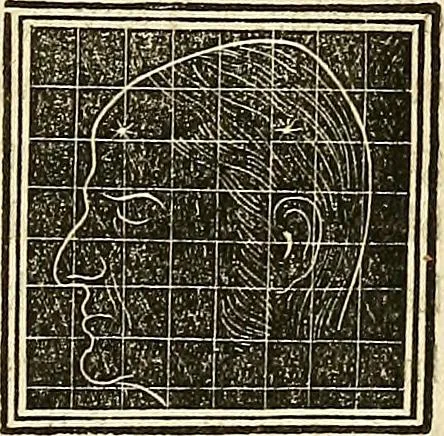 An illustration from A system of phrenology, 1839, leaf 556