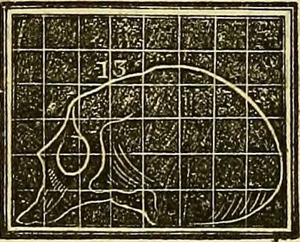 An illustration from A system of phrenology, 1839, leaf 563