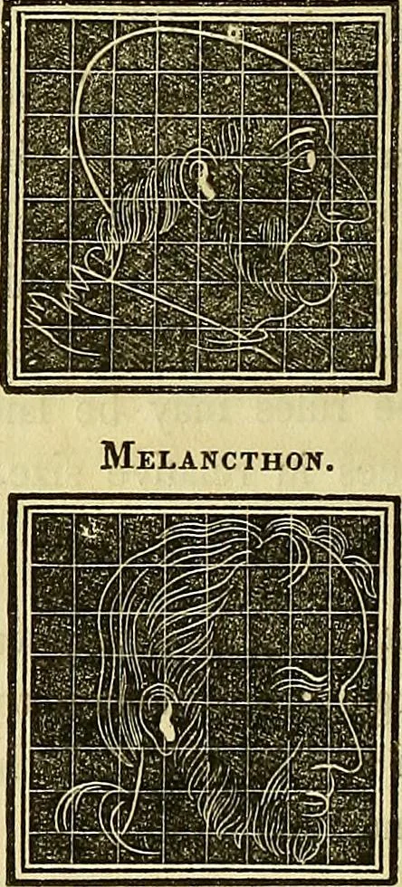 An illustration from A system of phrenology, 1839, leaf 563