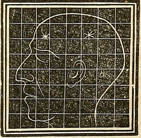 An illustration from A system of phrenology, 1839, leaf 574