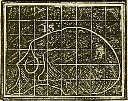 An illustration from A system of phrenology, 1839, leaf 595