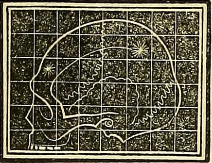 An illustration from A system of phrenology, 1839, leaf 599
