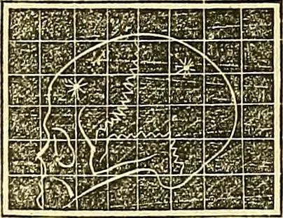 An illustration from A system of phrenology, 1839, leaf 601