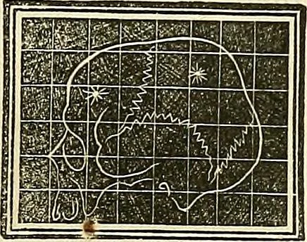 An illustration from A system of phrenology, 1839, leaf 606