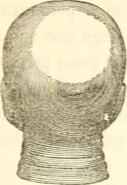 An illustration from A system of phrenology, 1839, leaf 128