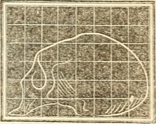 An illustration from A system of phrenology, 1839, leaf 140