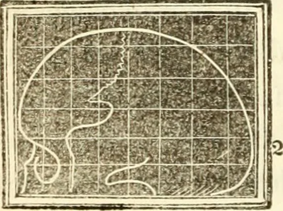 An illustration from A system of phrenology, 1839, leaf 143