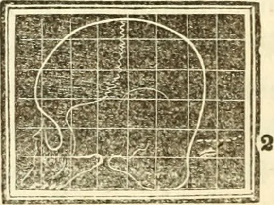 An illustration from A system of phrenology, 1839, leaf 143