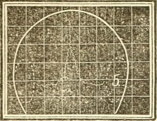 An illustration from A system of phrenology, 1839, leaf 169