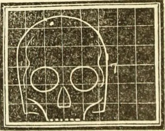 An illustration from A system of phrenology, 1839, leaf 209
