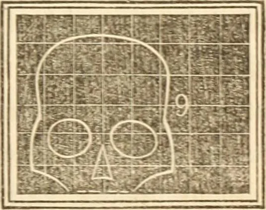 An illustration from A system of phrenology, 1839, leaf 226