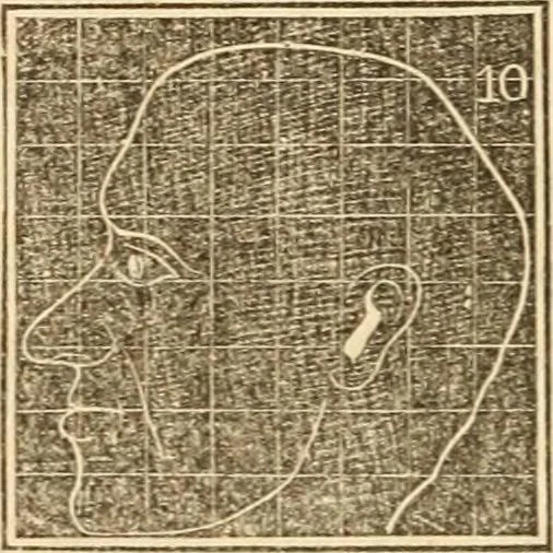 An illustration from A system of phrenology, 1839, leaf 237