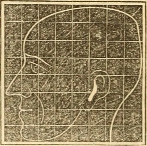 An illustration from A system of phrenology, 1839, leaf 237