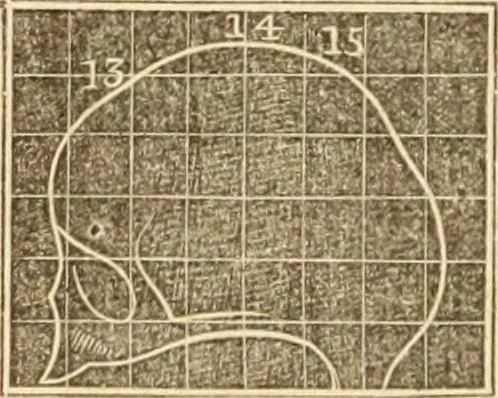 An illustration from A system of phrenology, 1839, leaf 277