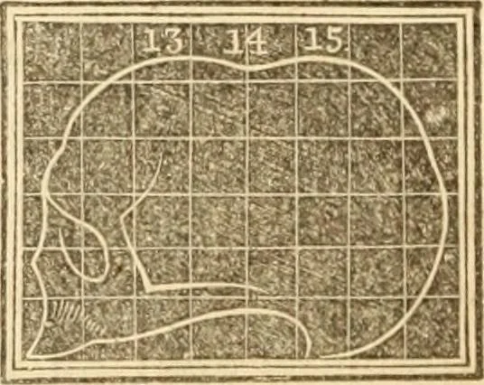 An illustration from A system of phrenology, 1839, leaf 277