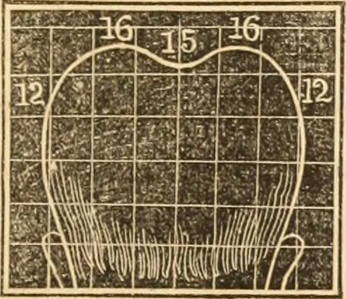 An illustration from A system of phrenology, 1839, leaf 300