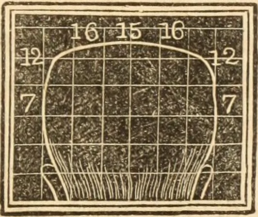 An illustration from A system of phrenology, 1839, leaf 300