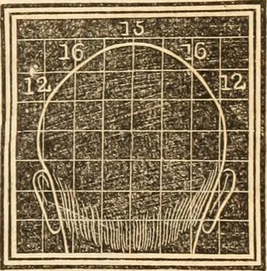 An illustration from A system of phrenology, 1839, leaf 300