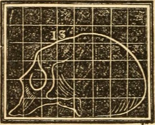 An illustration from A system of phrenology, 1839, leaf 557