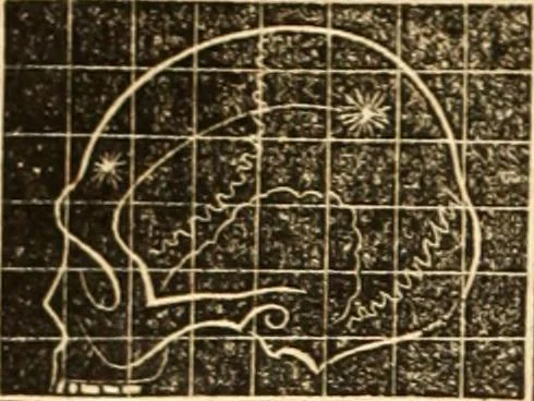 An illustration from A system of phrenology, 1839, leaf 593