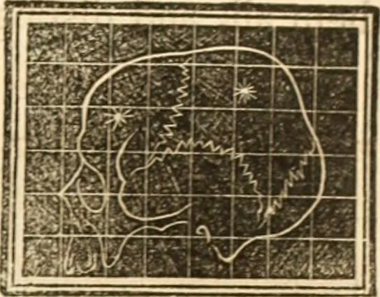 An illustration from A system of phrenology, 1839, leaf 600