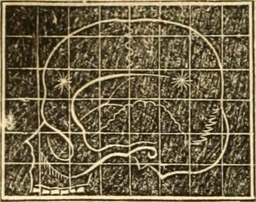 An illustration from A system of phrenology, 1839, leaf 601