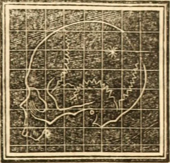 An illustration from A system of phrenology, 1839, leaf 602