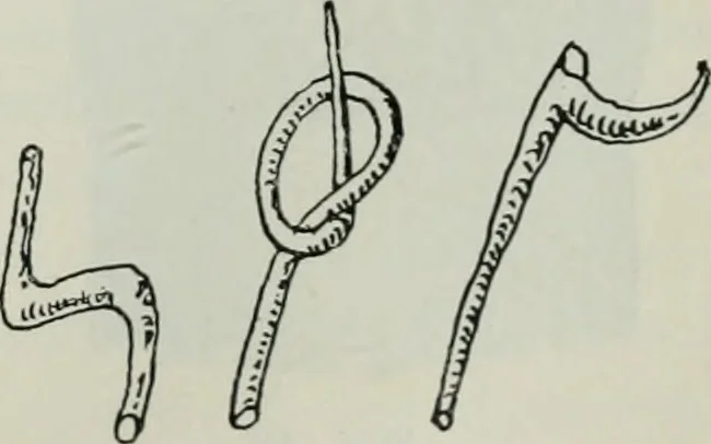 An illustration from Sztuka ludowa w Polsce, 1903, leaf 226