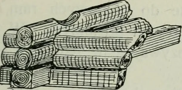 An illustration from Sztuka ludowa w Polsce, 1903, leaf 254