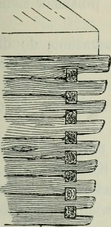 An illustration from Sztuka ludowa w Polsce, 1903, leaf 258