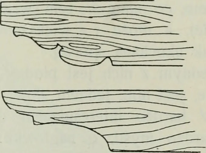 An illustration from Sztuka ludowa w Polsce, 1903, leaf 258