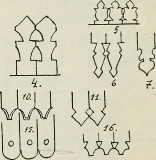 An illustration from Sztuka ludowa w Polsce, 1903, leaf 493