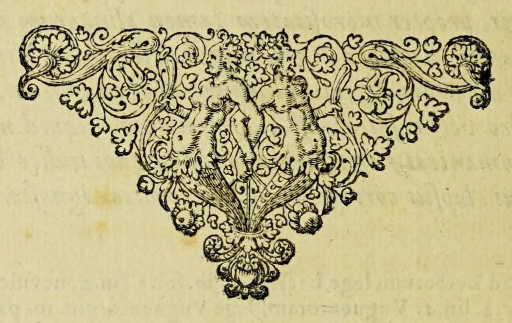 An illustration from Tabacologia: hoc est tabaci, seu Nicotianae descriptio medico-chirurgico-pharmaceutica vel ejus praeparatio et usus in omnibus fermè corporis humani incom[m]odis., 1626, leaf 302