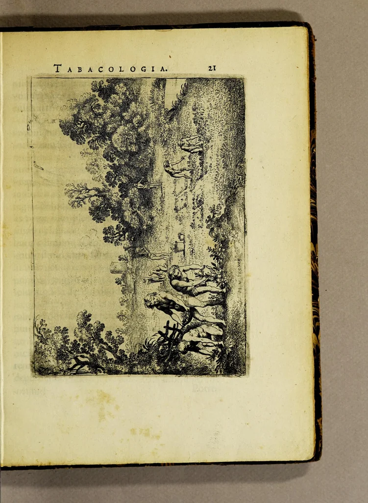 An illustration from Tabacologia: hoc est tabaci, seu Nicotianae descriptio medico-chirurgico-pharmaceutica vel ejus praeparatio et usus in omnibus fermè corporis humani incom[m]odis., 1626, leaf 67