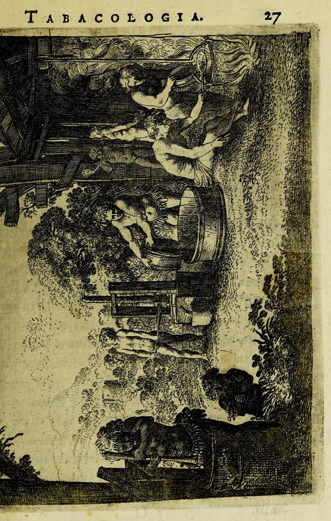 An illustration from Tabacologia: hoc est tabaci, seu Nicotianae descriptio medico-chirurgico-pharmaceutica vel ejus praeparatio et usus in omnibus fermè corporis humani incom[m]odis., 1626, leaf 73