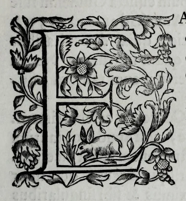 An illustration from Tabellae selectae ac explicatae, 1691, leaf 103