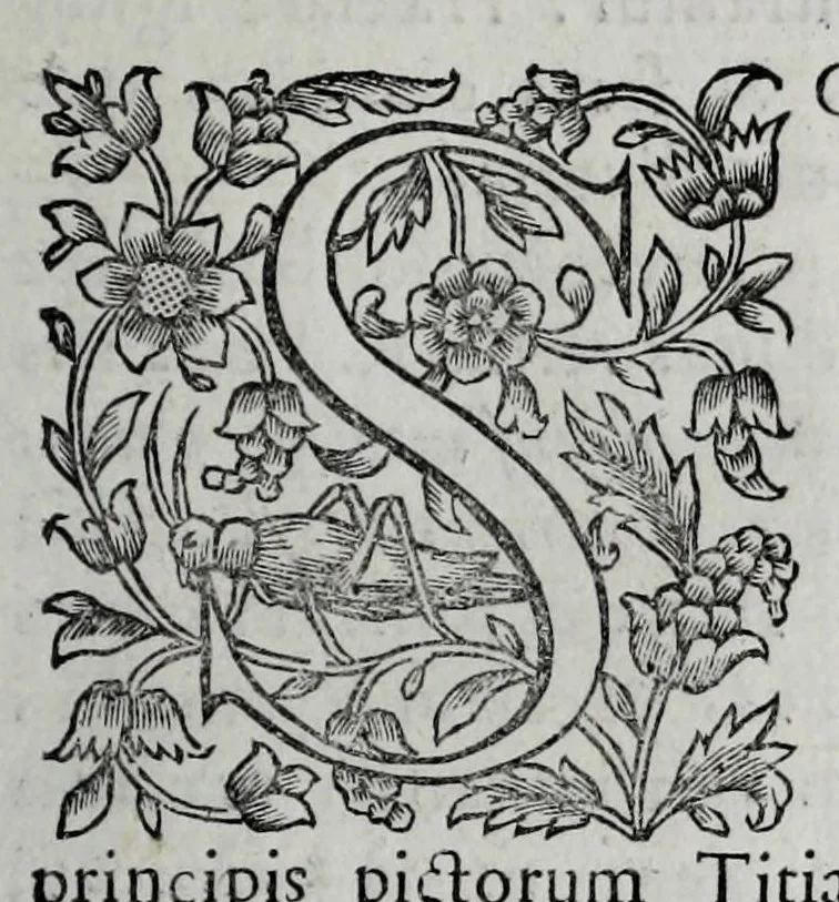 An illustration from Tabellae selectae ac explicatae, 1691, leaf 107