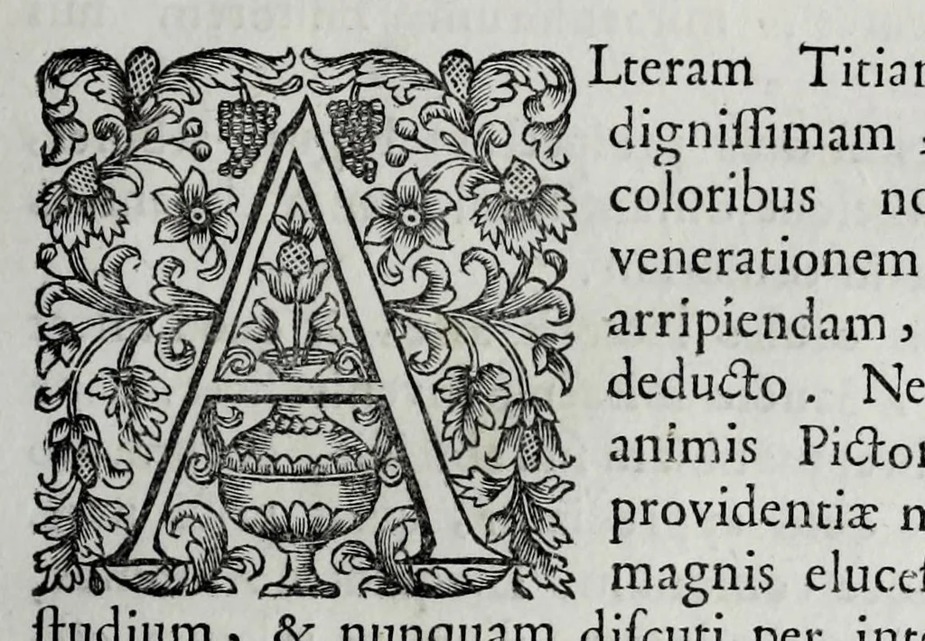 An illustration from Tabellae selectae ac explicatae, 1691, leaf 111