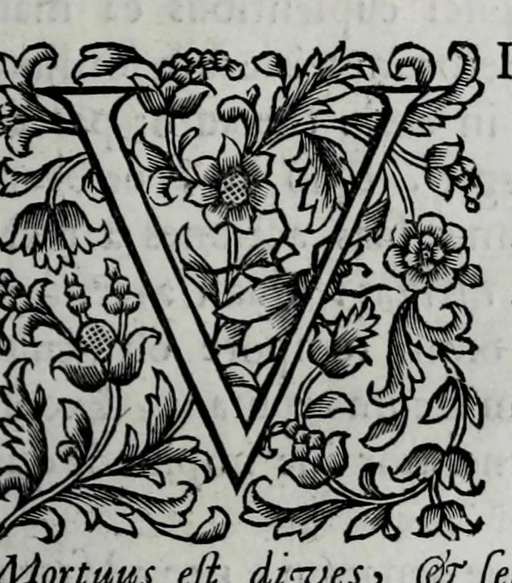 An illustration from Tabellae selectae ac explicatae, 1691, leaf 123