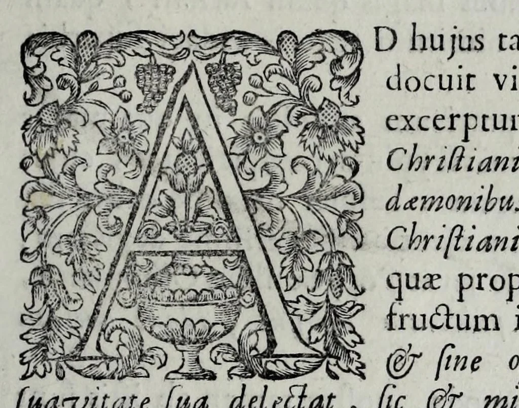 An illustration from Tabellae selectae ac explicatae, 1691, leaf 127