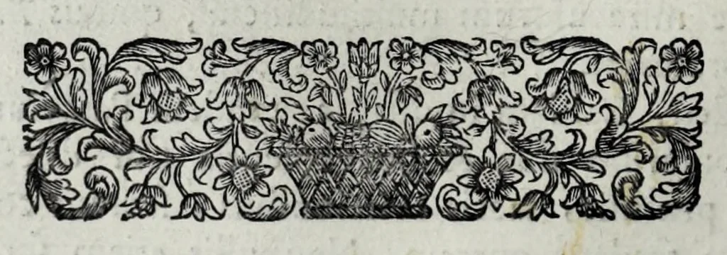 An illustration from Tabellae selectae ac explicatae, 1691, leaf 134