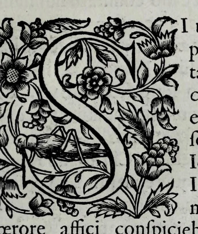 An illustration from Tabellae selectae ac explicatae, 1691, leaf 137