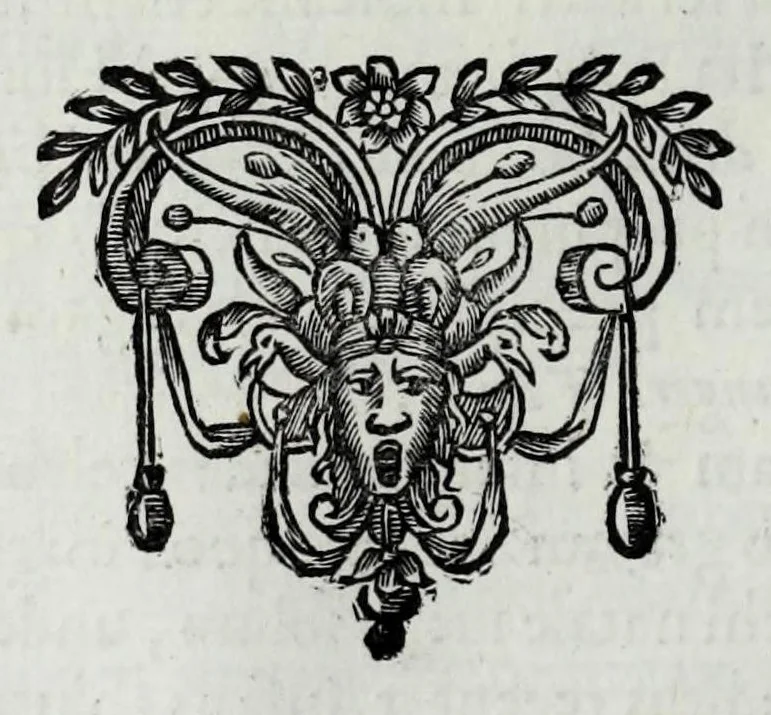 An illustration from Tabellae selectae ac explicatae, 1691, leaf 158