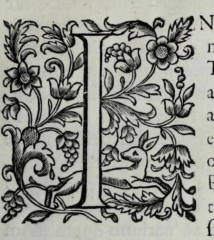 An illustration from Tabellae selectae ac explicatae, 1691, leaf 175