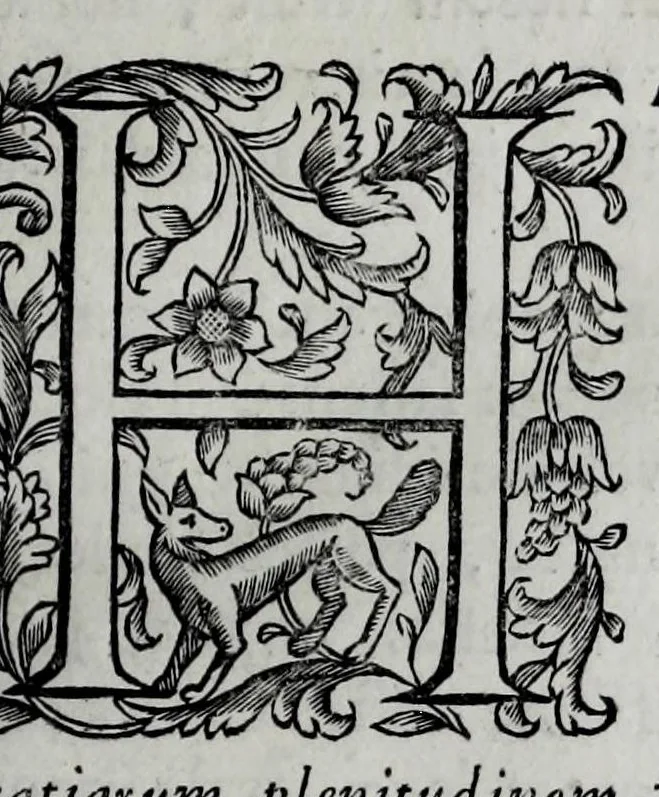 An illustration from Tabellae selectae ac explicatae, 1691, leaf 27